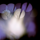 Illustration for article titled Shooting Challenge Silhouettes Gallery 1